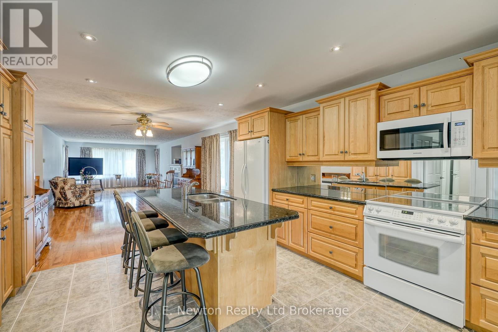 356 Broadway Street, Tillsonburg, Ontario  N4G 3S3 - Photo 17 - X12388690