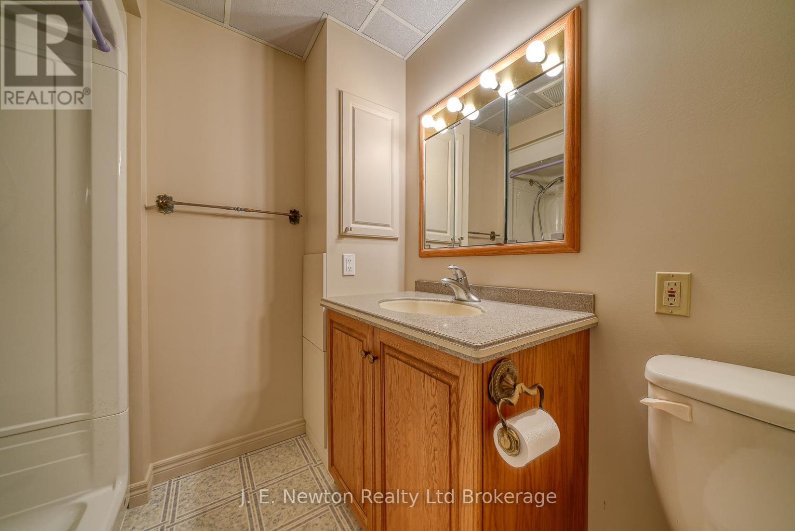 356 Broadway Street, Tillsonburg, Ontario  N4G 3S3 - Photo 42 - X12388690