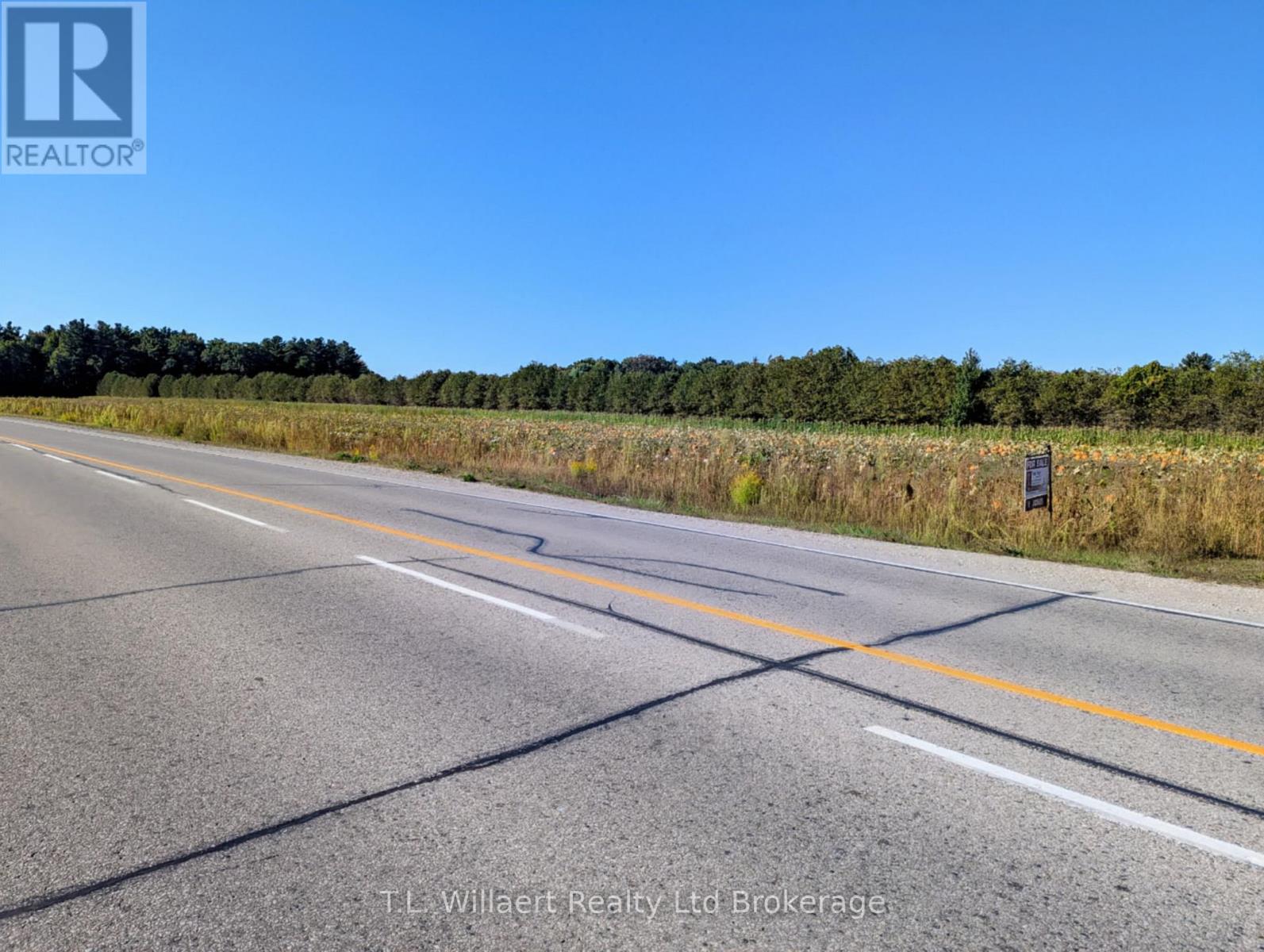 7343 Plank Road, Bayham (Straffordville), Ontario  N0J 1Y0 - Photo 2 - X12434762