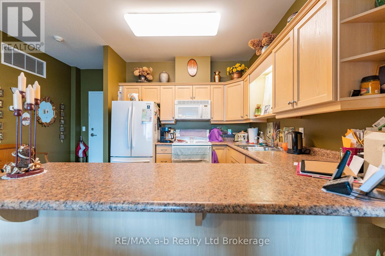 101 - 80 Bridge Street E, Tillsonburg, Ontario  N4G 1T2 - Photo 7 - X12452681