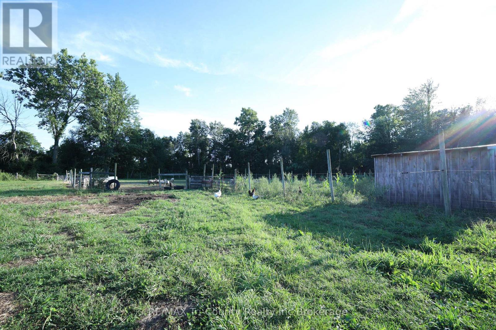 853 Norfolk County 28 Road, Norfolk, Ontario  N0E 1G0 - Photo 4 - X12575076