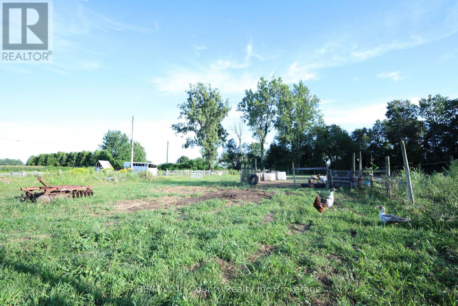 853 Norfolk County 28 Road, Norfolk, Ontario  N0E 1G0 - Photo 36 - X12577512