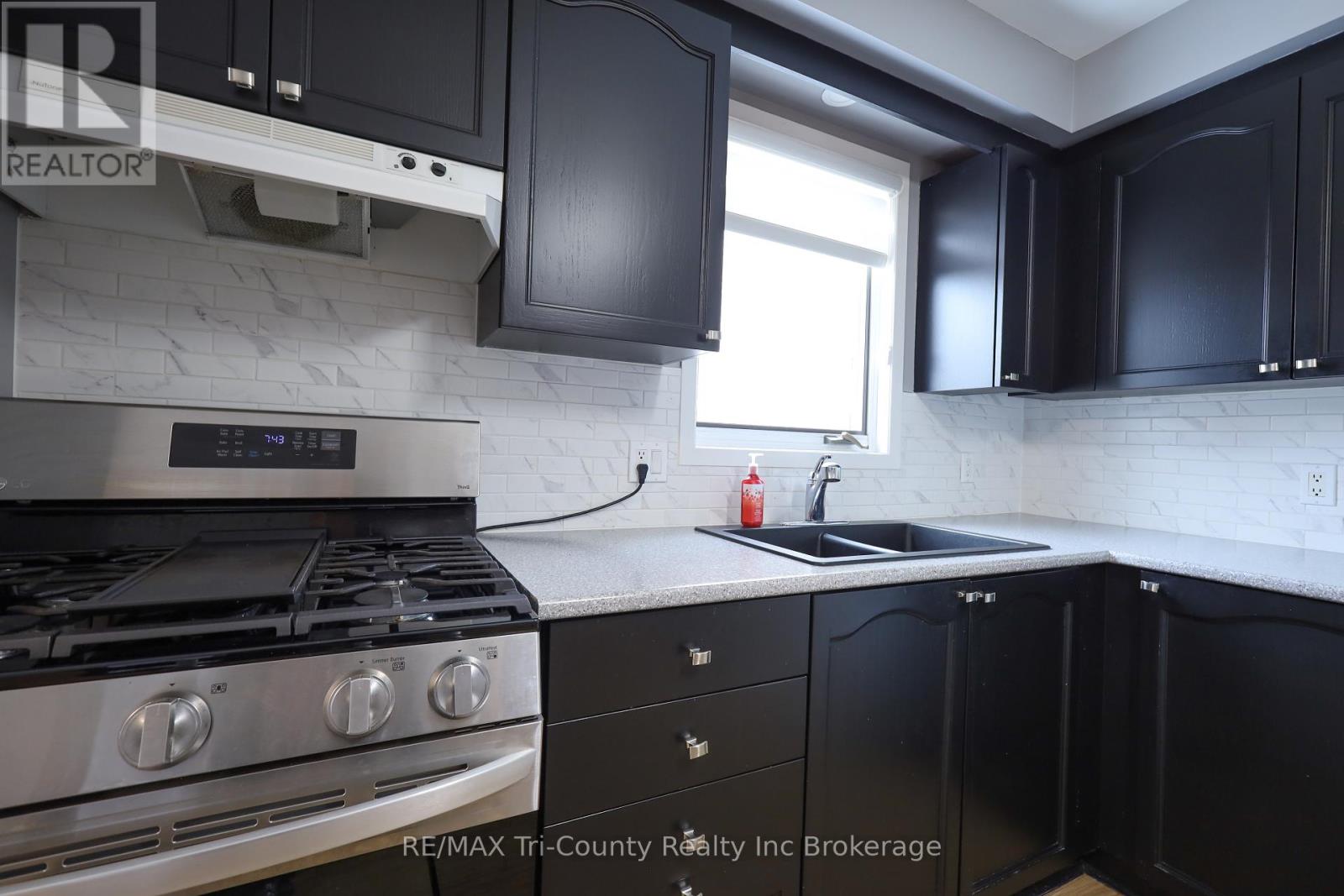 33 Wilkins Crescent, Tillsonburg, Ontario  N4G 5M6 - Photo 8 - X12654908