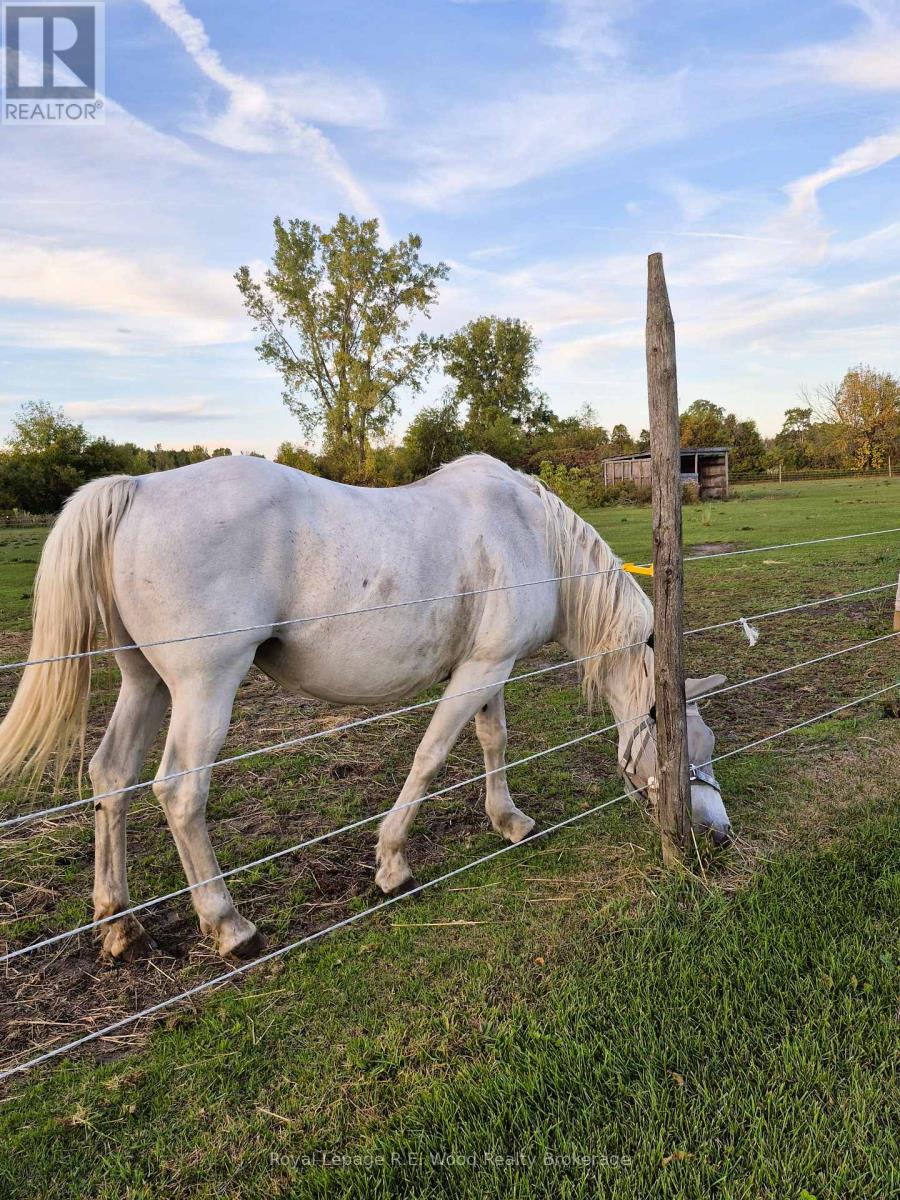 1319 Windham Road 9 Road, Norfolk, Ontario  N0E 2A0 - Photo 30 - X12686742
