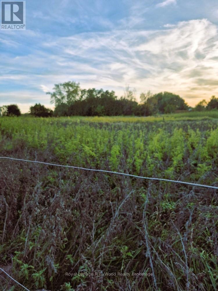 1319 Windham Road 9 Road E, Norfolk, Ontario  N0E 2A0 - Photo 23 - X12686776