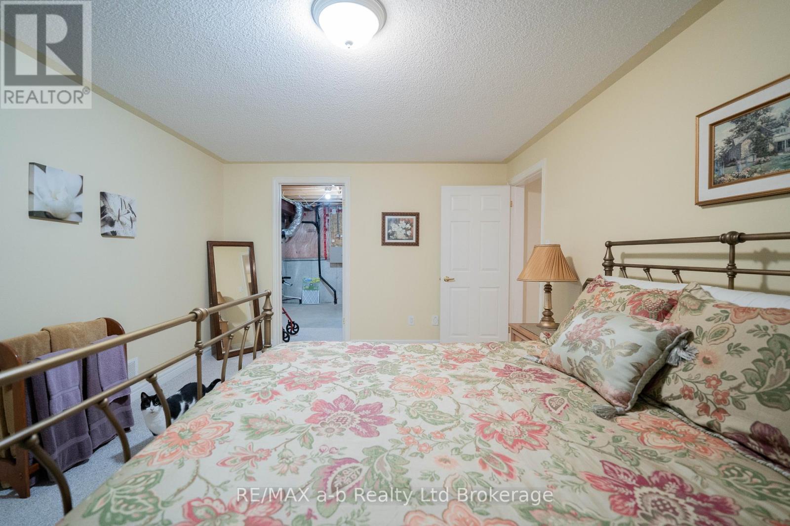 218 Baldwin Street, Tillsonburg, Ontario  N4G 5W3 - Photo 29 - X12724104