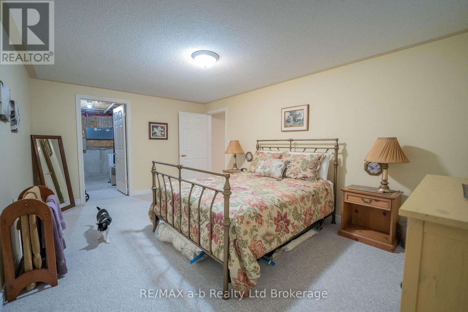 218 Baldwin Street, Tillsonburg, Ontario  N4G 5W3 - Photo 31 - X12724104