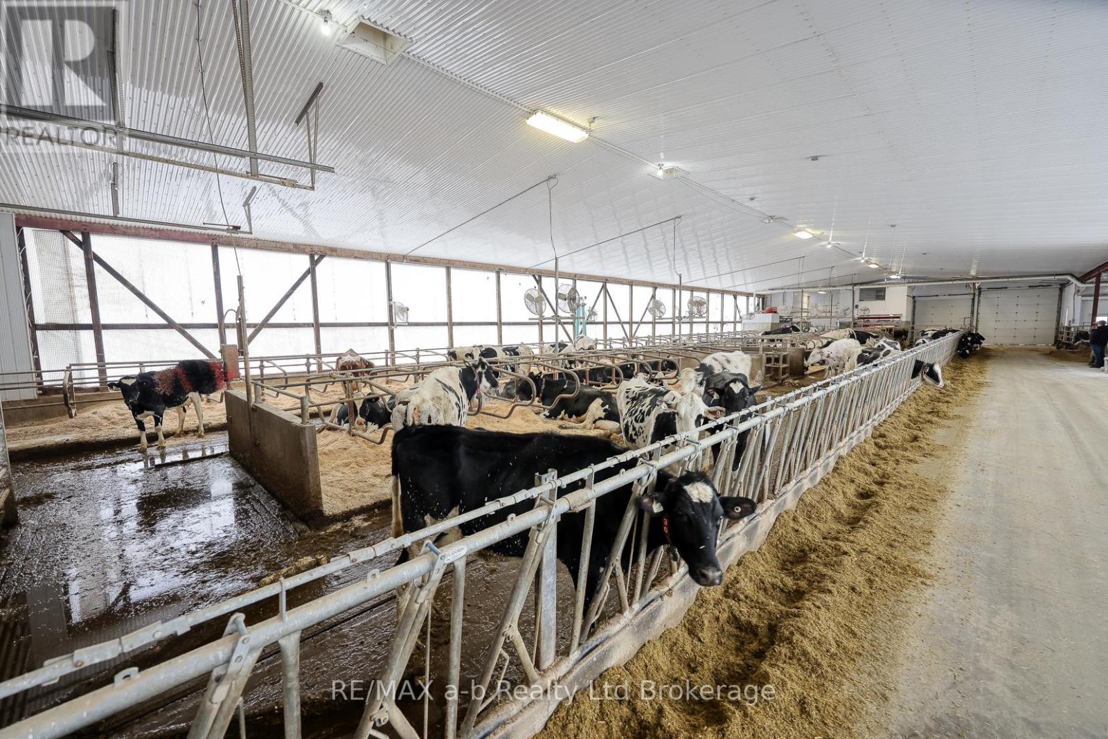 1011 Bornish Drive, North Middlesex, Ontario  N0M 2K0 - Photo 14 - X12734784