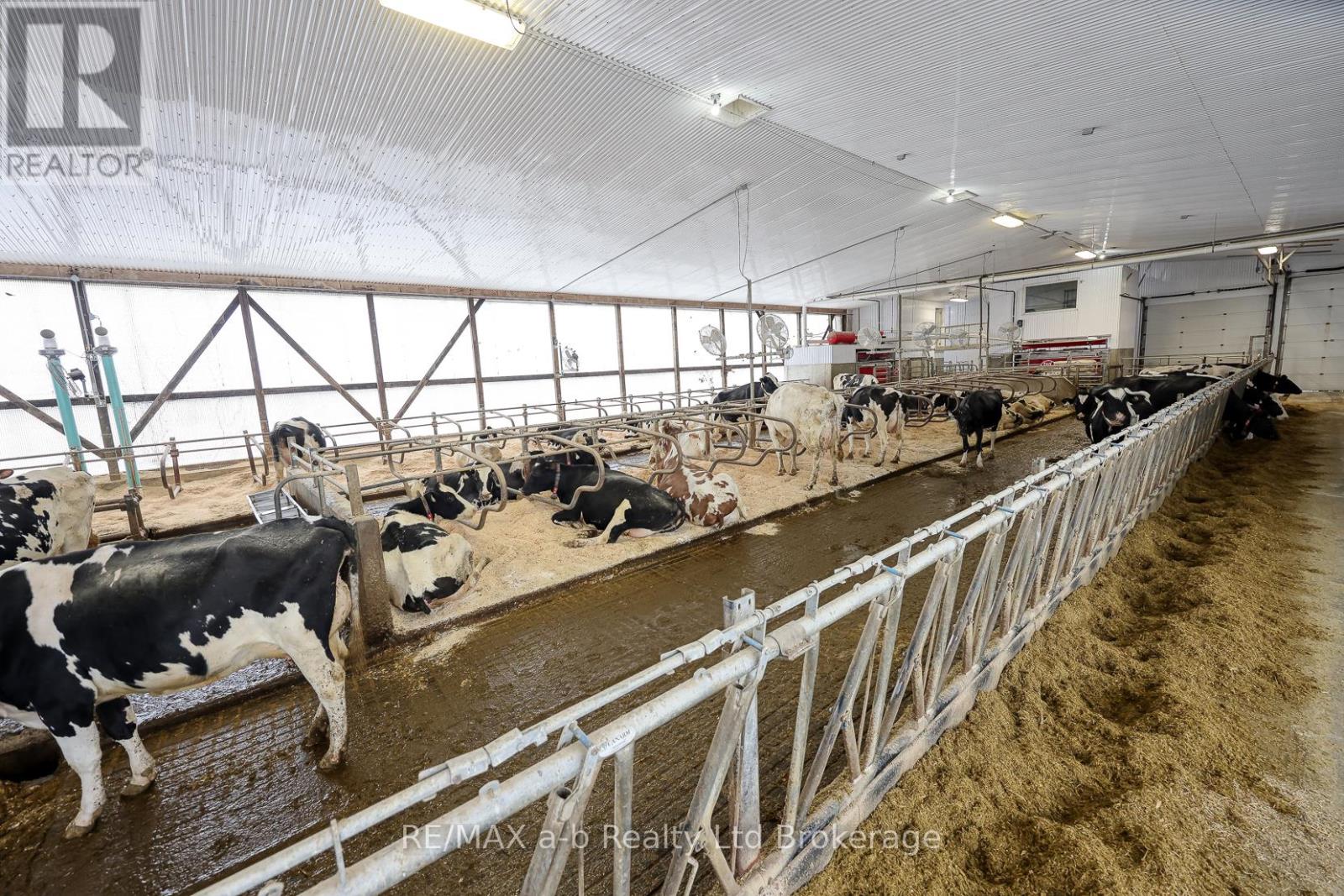 1011 Bornish Drive, North Middlesex, Ontario  N0M 2K0 - Photo 16 - X12734784