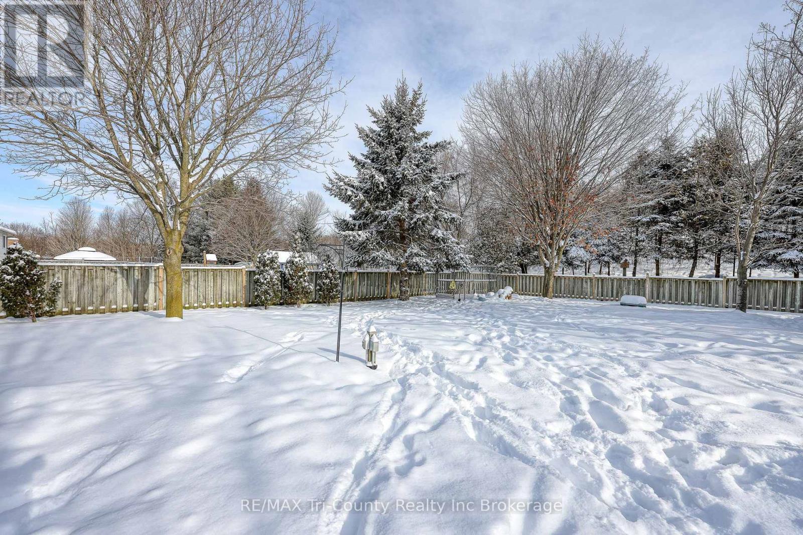 24 Lorraine Avenue, Tillsonburg, Ontario  N4G 4V3 - Photo 3 - X12735516