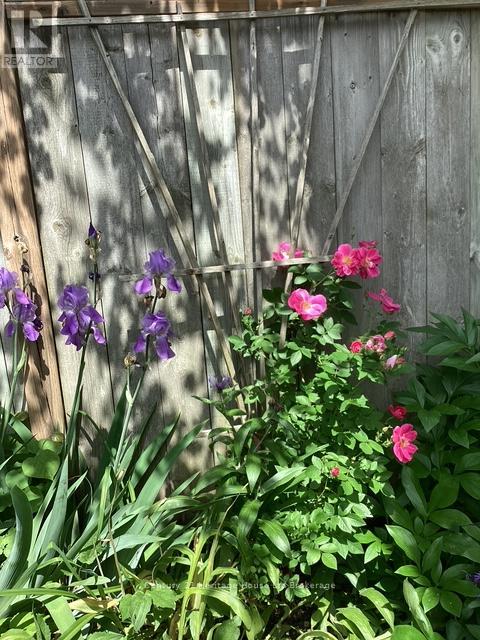 11 John Davies Drive, Woodstock (Woodstock - North), Ontario  N4T 1M9 - Photo 33 - X12750700