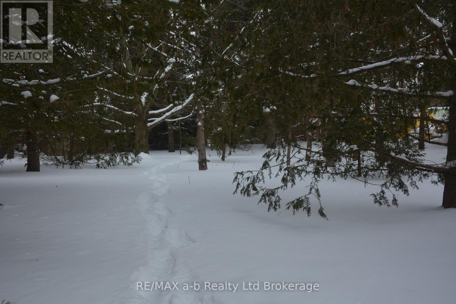 146 Whiting Street, Ingersoll (Ingersoll - South), Ontario  N5C 3B3 - Photo 6 - X12758322