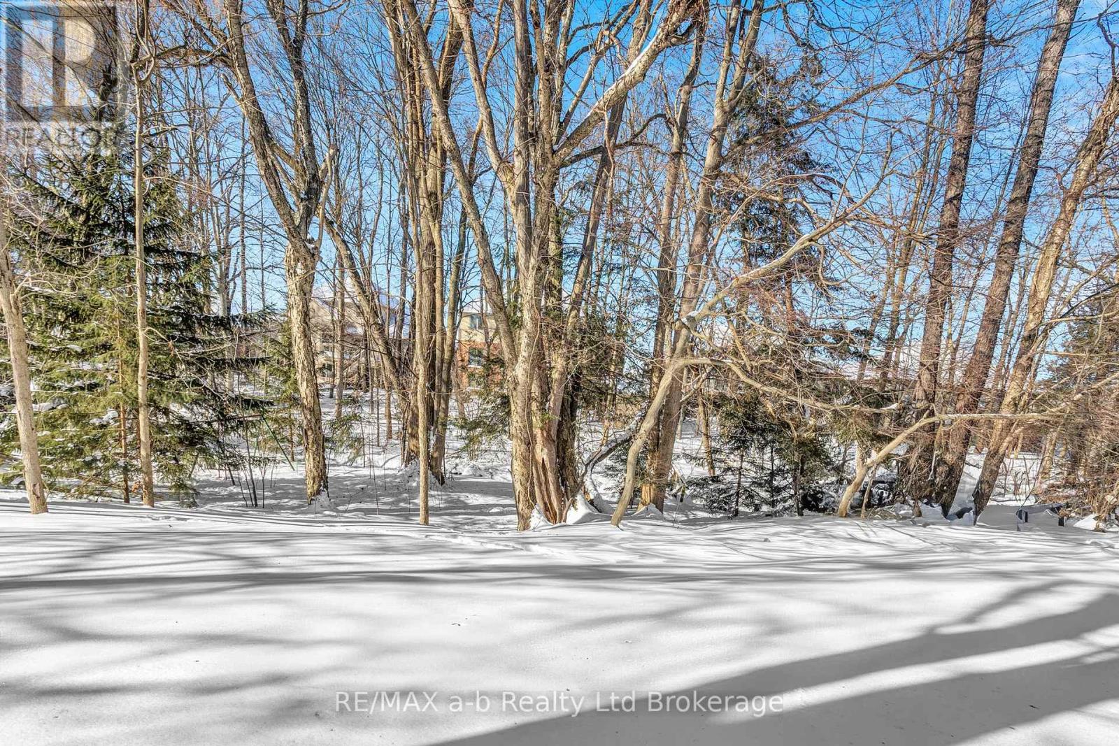 21 Windemere Avenue, Tillsonburg, Ontario  N4G 5M8 - Photo 6 - X12761832