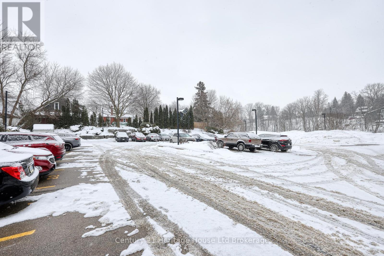 201 - 46 Canterbury Street, Ingersoll (Ingersoll - South), Ontario  N5C 1C4 - Photo 29 - X12763158