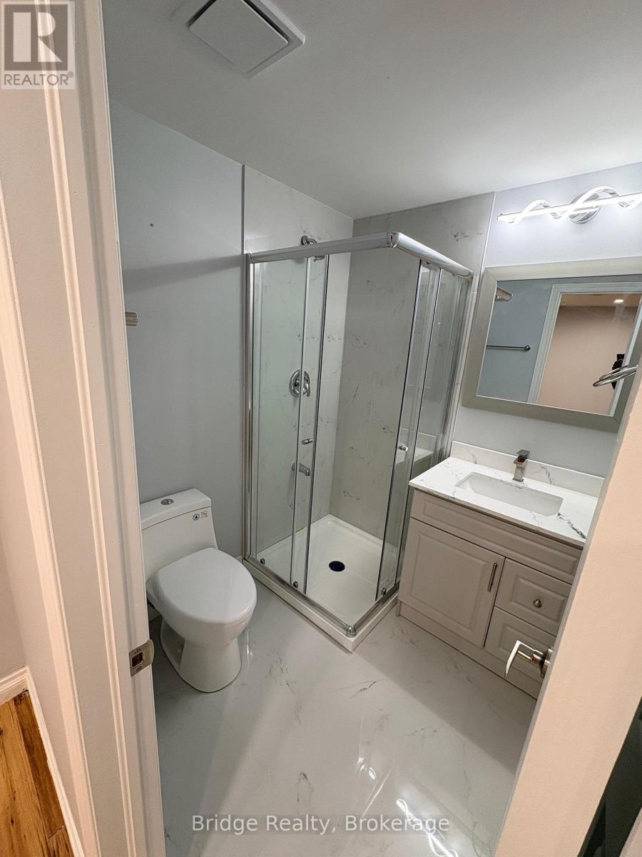 Basement - 67 Stafford Street, Woodstock (Woodstock - South), Ontario  N4S 3Z8 - Photo 7 - X12767014