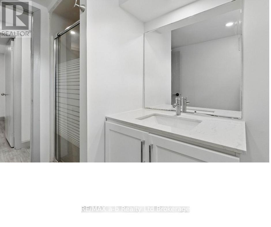 Lower - 197 Atkinson Boulevard, London East (East H), Ontario  N5W 4Z5 - Photo 3 - X12768212