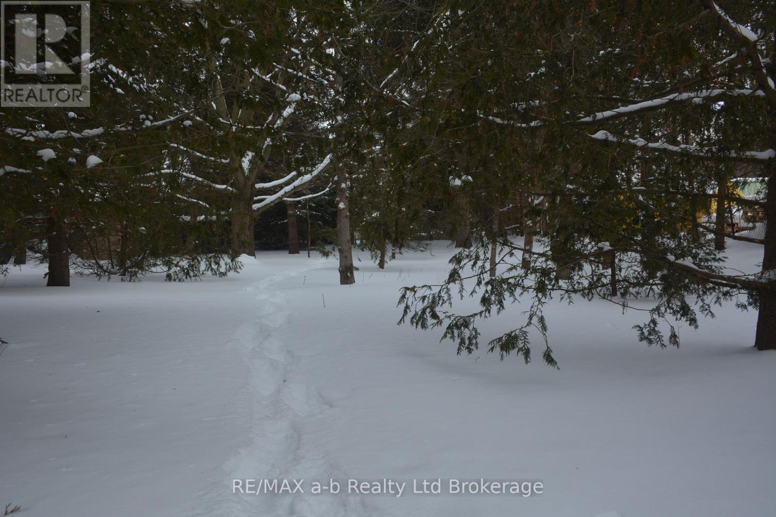 146 Whiting Street, Ingersoll (Ingersoll - South), Ontario  N5C 3B3 - Photo 10 - X12768778