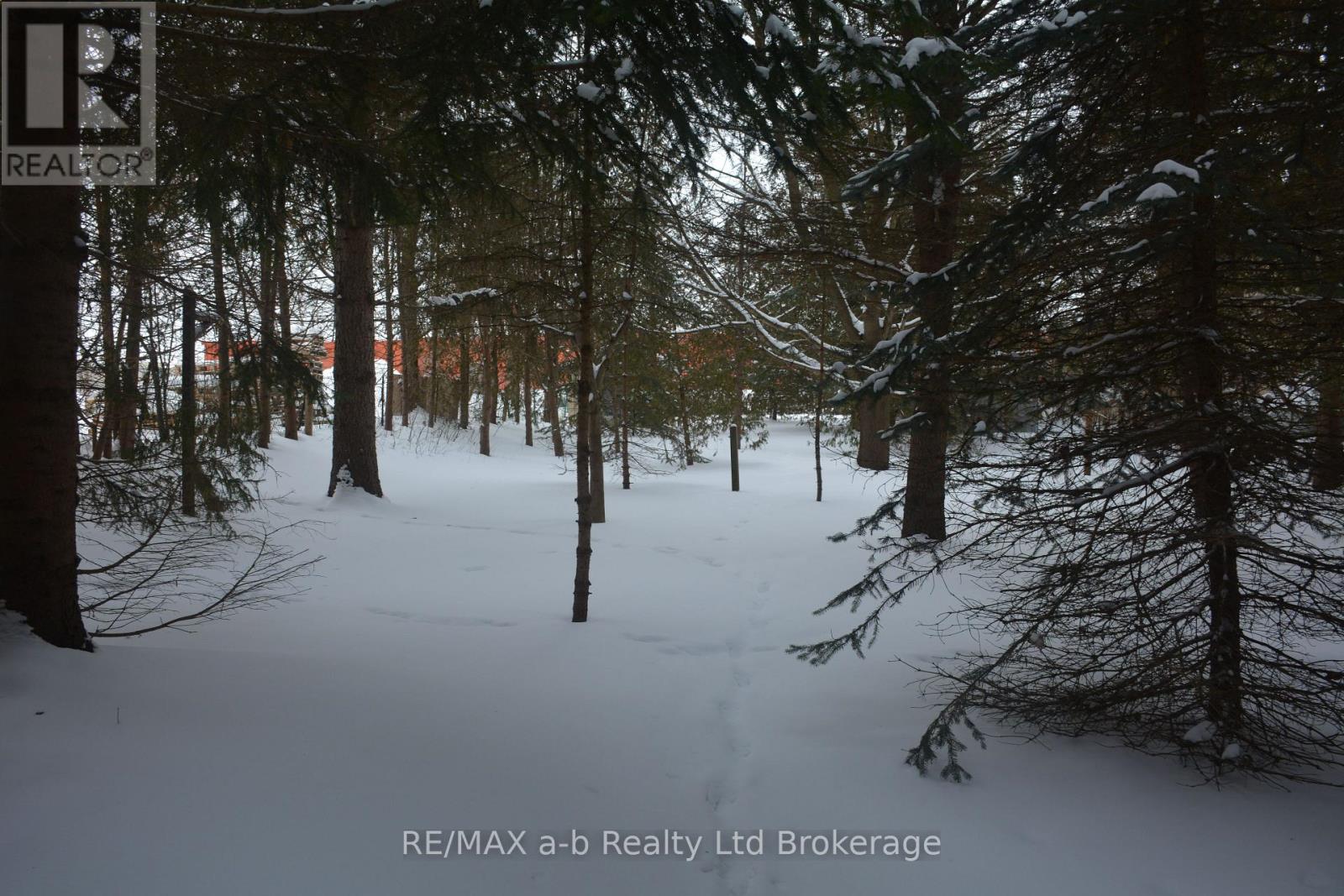 146 Whiting Street, Ingersoll (Ingersoll - South), Ontario  N5C 3B3 - Photo 7 - X12768778