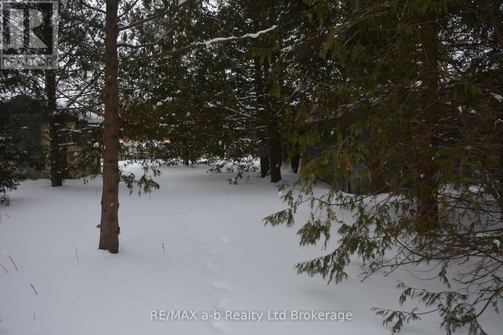 146 Whiting Street, Ingersoll (Ingersoll - South), Ontario  N5C 3B3 - Photo 9 - X12768778