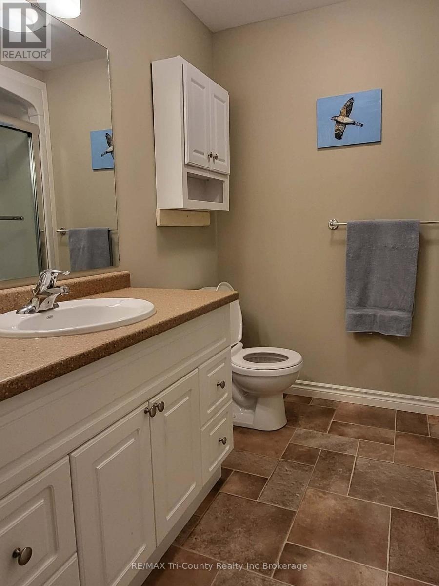 33 Park Place, Tillsonburg, Ontario  N4G 0B8 - Photo 16 - X12821370