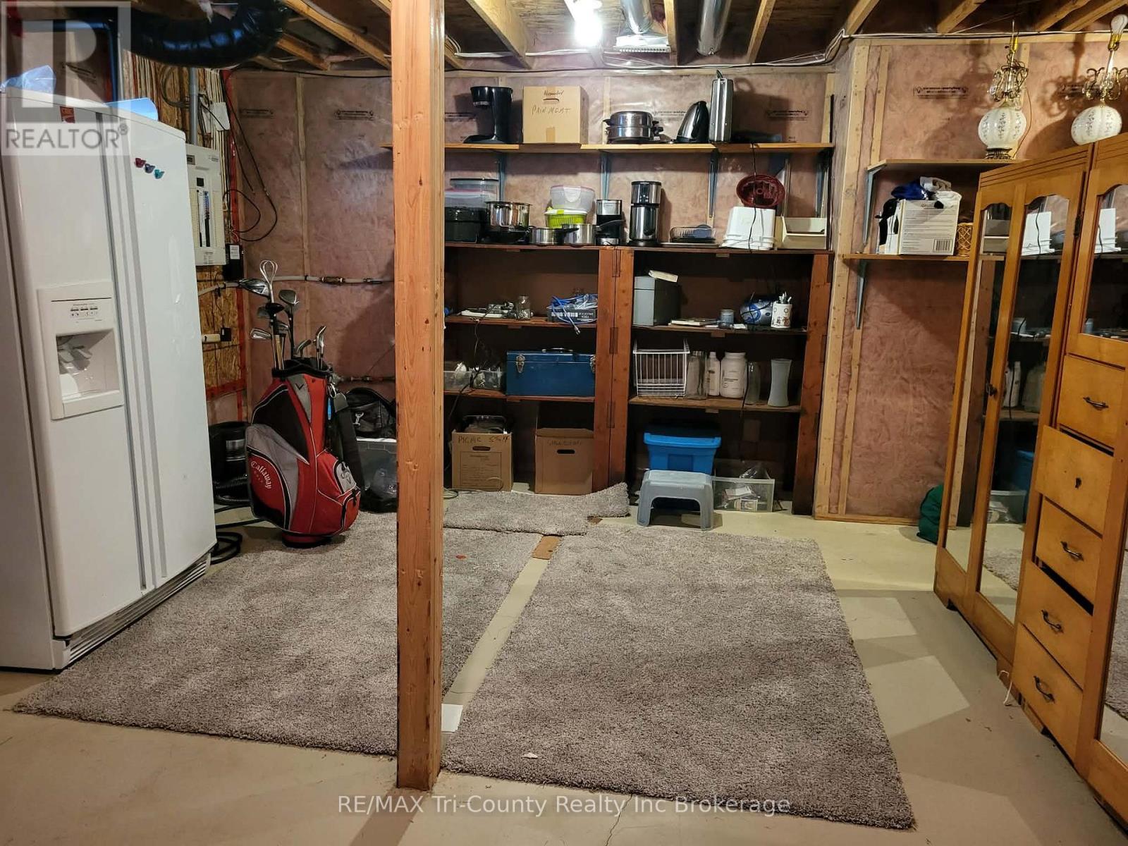 33 Park Place, Tillsonburg, Ontario  N4G 0B8 - Photo 19 - X12821370