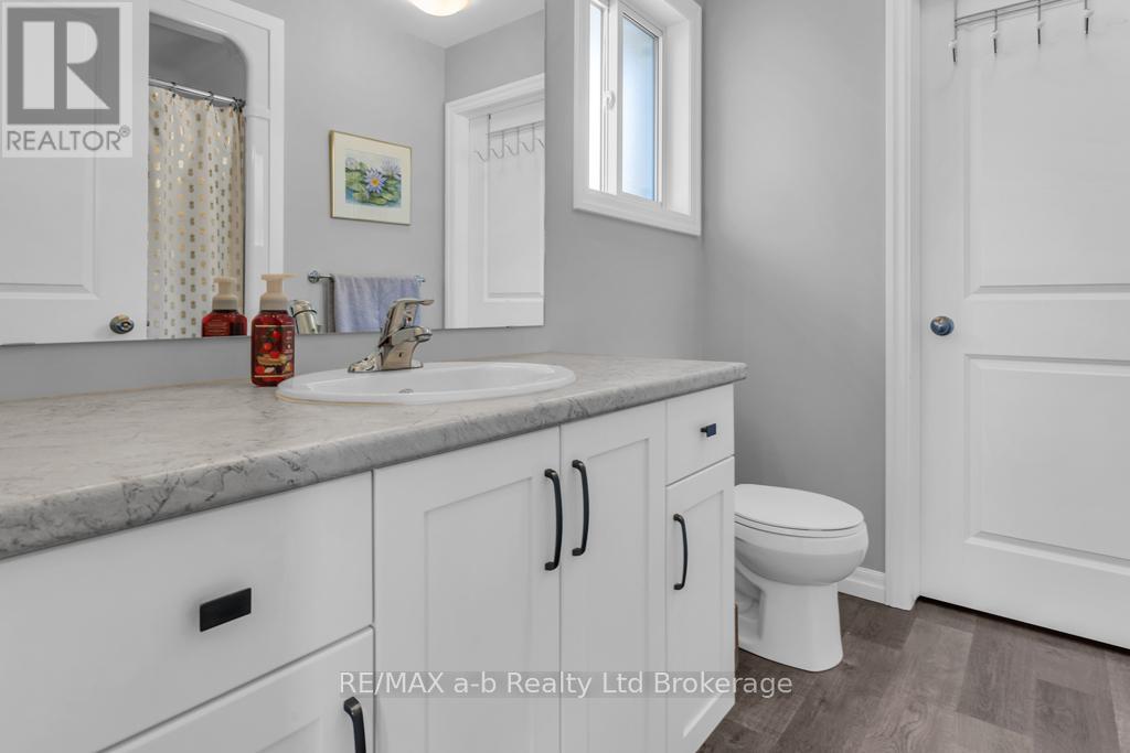 242 Wilson Avenue, Tillsonburg, Ontario  N4G 0H4 - Photo 23 - X12843874