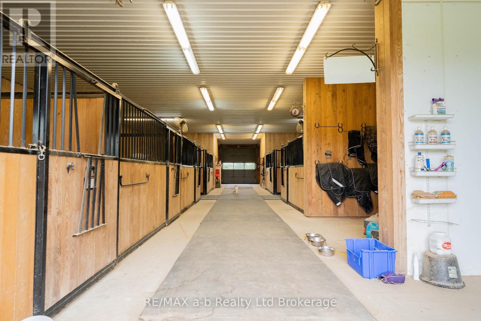 55226 Best Line, Bayham, Ontario  N5H 2R3 - Photo 40 - X12891510