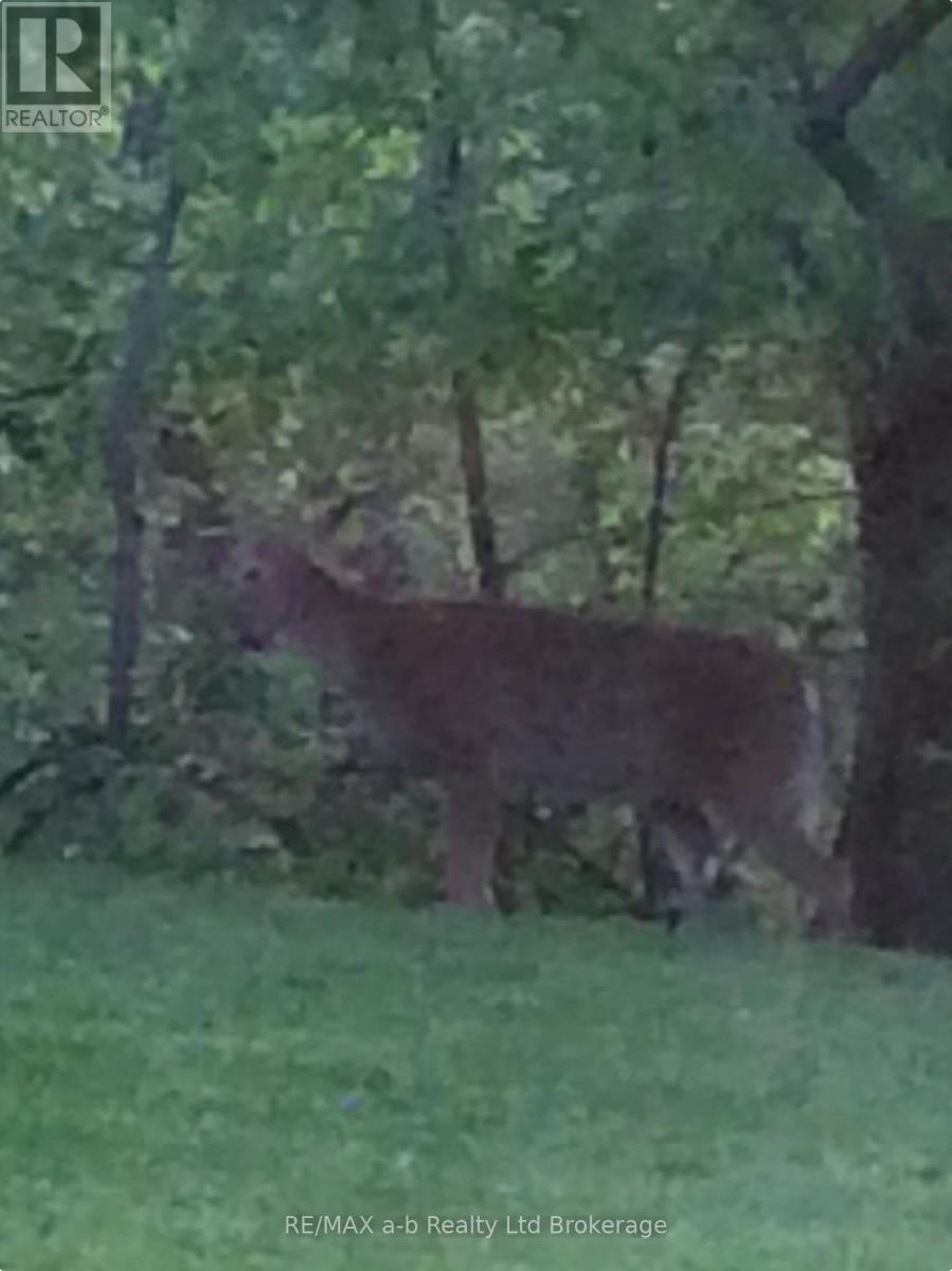 90 Weston Drive, Tillsonburg, Ontario  N4G 5W9 - Photo 48 - X12913344