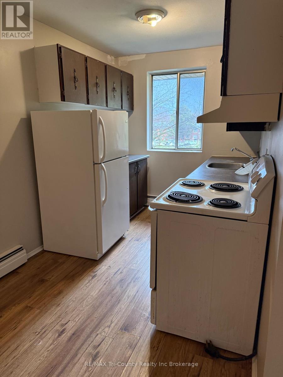 302 - 191 Lisgar Avenue, Tillsonburg, Ontario  N4G 3L5 - Photo 3 - X12949730