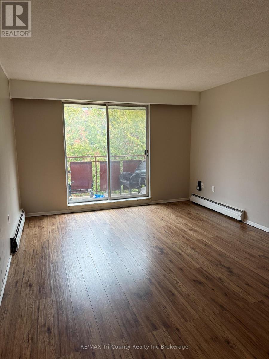 302 - 191 Lisgar Avenue, Tillsonburg, Ontario  N4G 3L5 - Photo 5 - X12949730