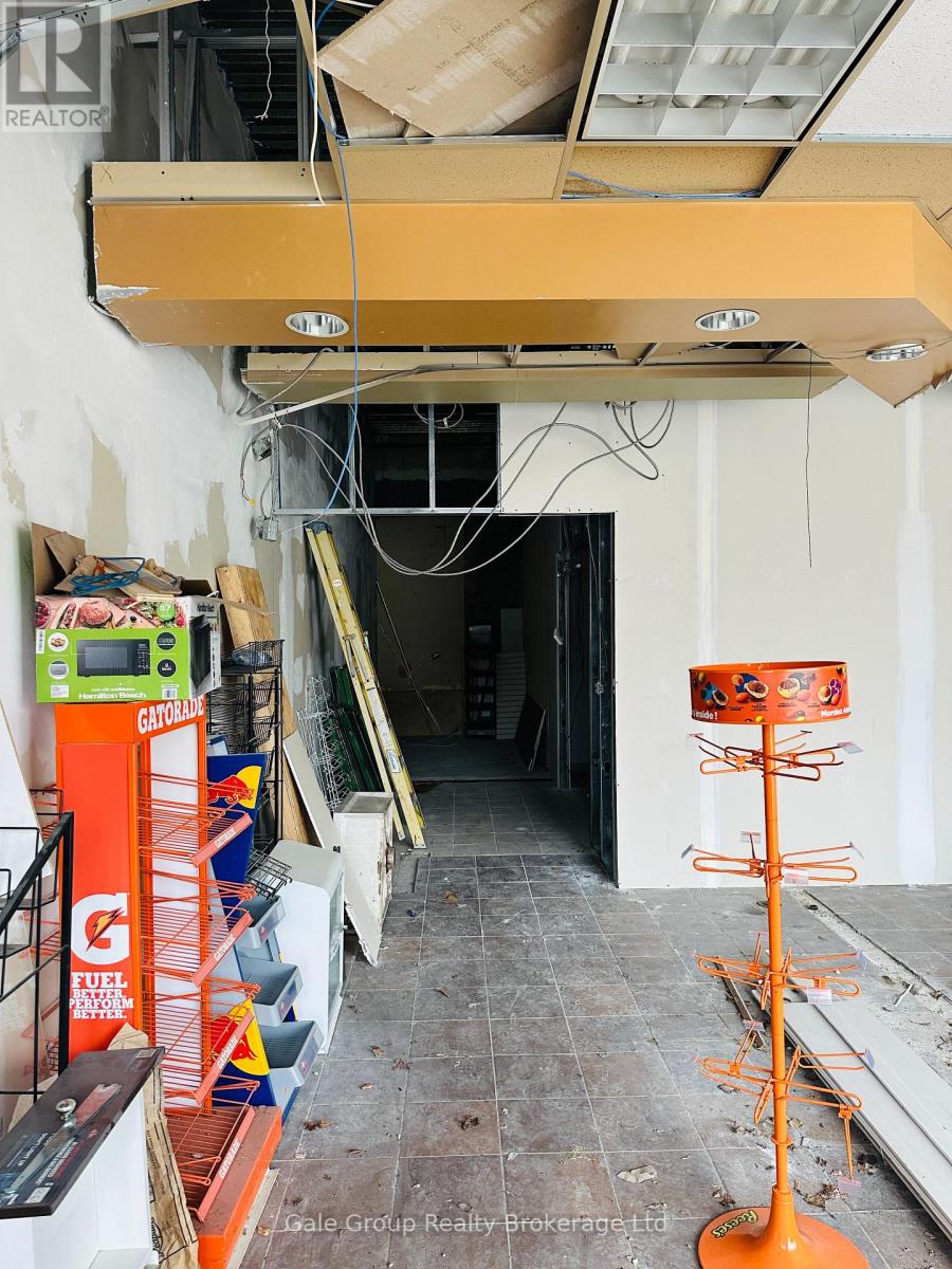 222 Dundas Street, Woodstock (Woodstock - North), Ontario  N4S 1A7 - Photo 9 - X12994582