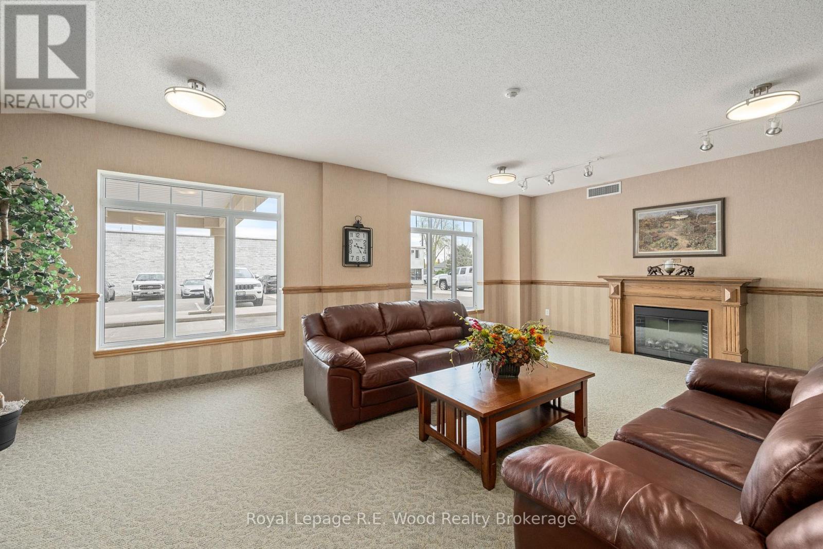 205 - 80 Bridge Street E, Tillsonburg, Ontario  N4G 1T2 - Photo 4 - X13081342