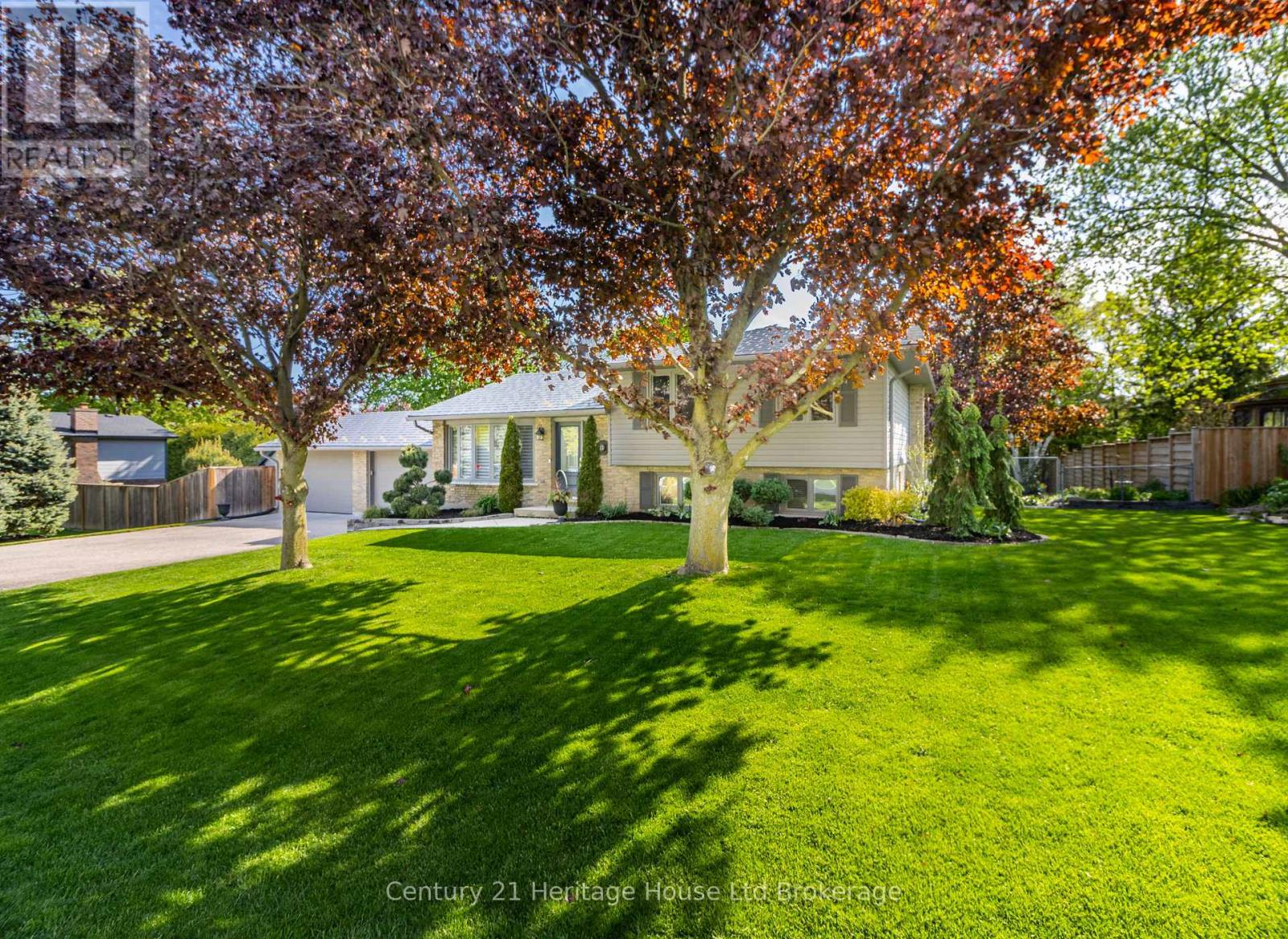 11 Millard Street, South-West Oxford (Sweaburg), Ontario  N4S 7V6 - Photo 4 - X13155388