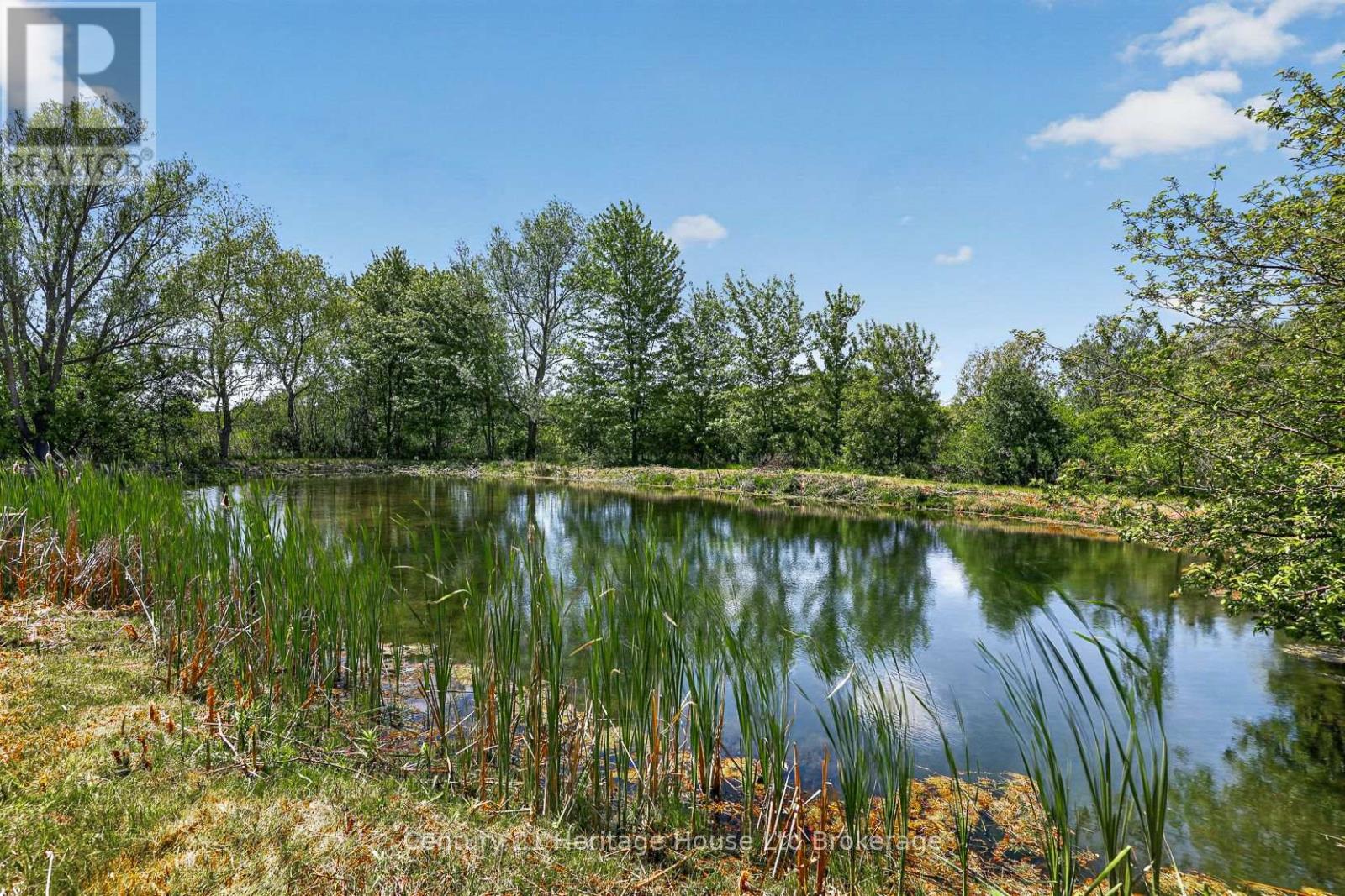 257 Bateman Line, Brant (Brantford Twp), Ontario  N0E 1K0 - Photo 3 - X13241786