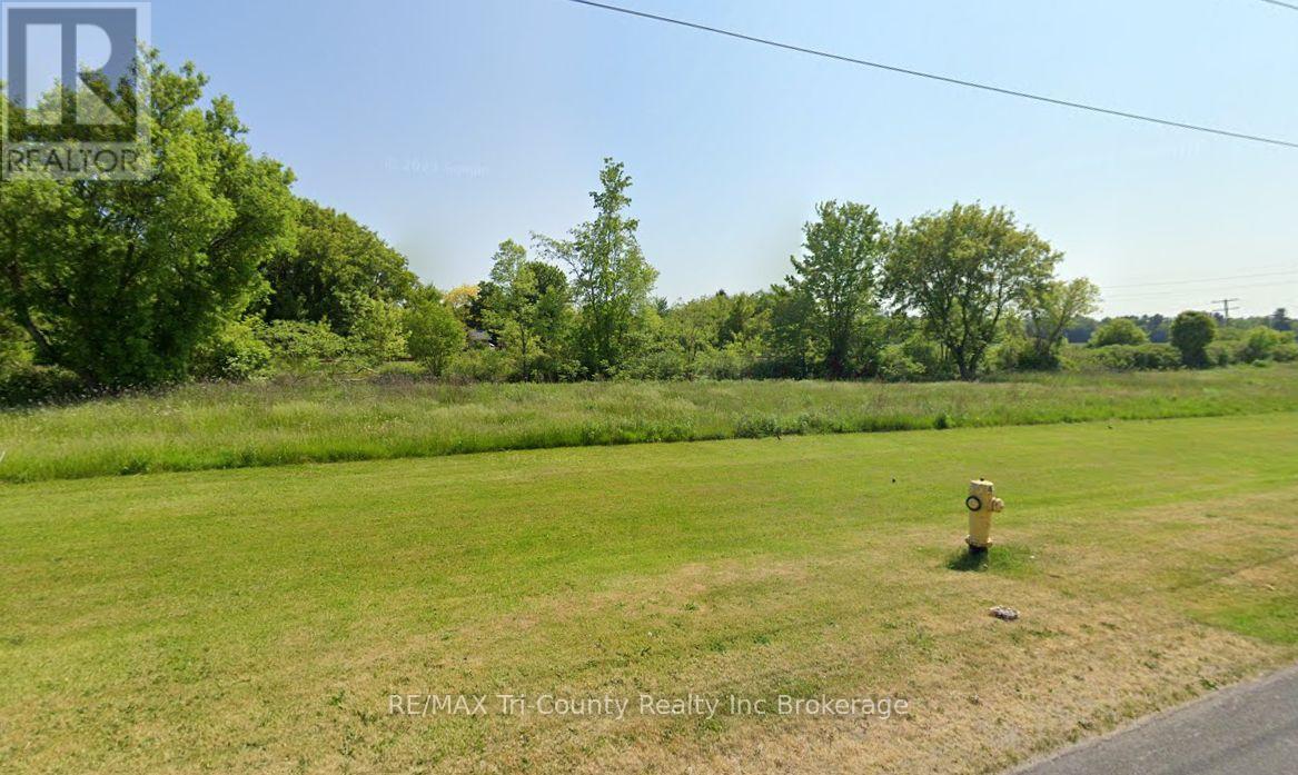 53 North Street, Norfolk (Courtland), Ontario  N0J 1E0 - Photo 4 - X13482058