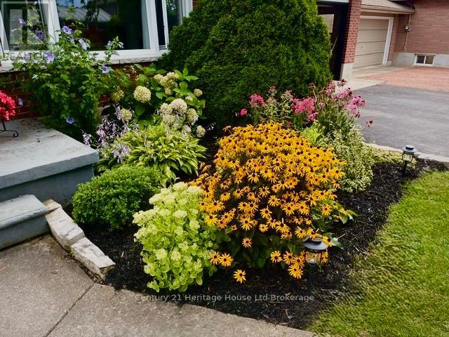 219 Brock Street, Zorra (Thamesford), Ontario  N0M 2M0 - Photo 3 - X13532830