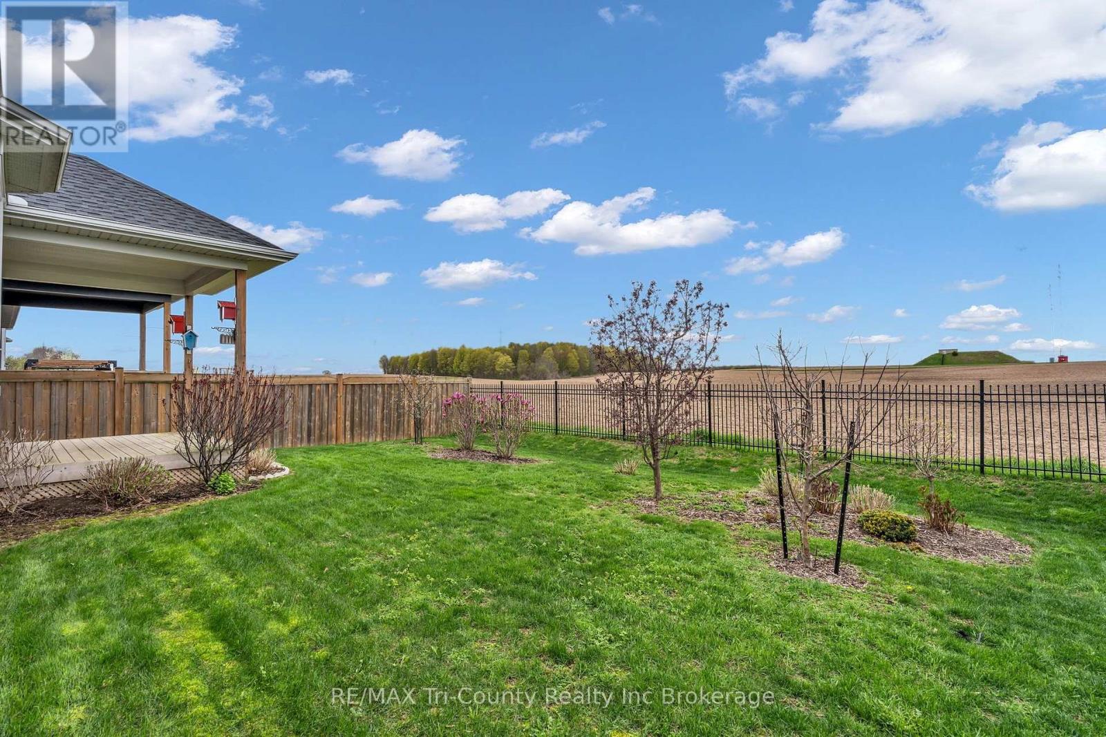 18 Crocus Avenue, Tillsonburg, Ontario  N4G 5S9 - Photo 35 - X13585182