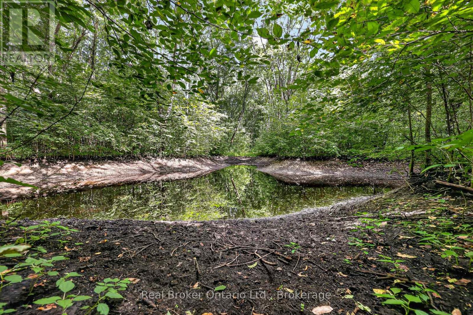 785729 Oxford Road 33 Road, East Zorra-Tavistock, Ontario  N0J 1M0 - Photo 28 - X13726610