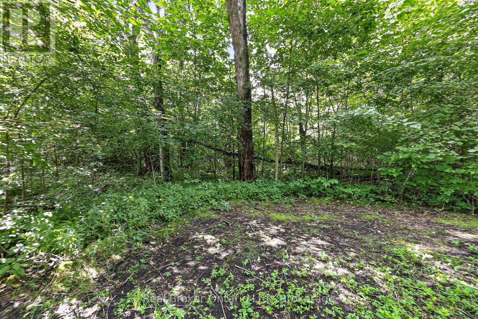 785729 Oxford Road 33 Road, East Zorra-Tavistock, Ontario  N0J 1M0 - Photo 30 - X13726610