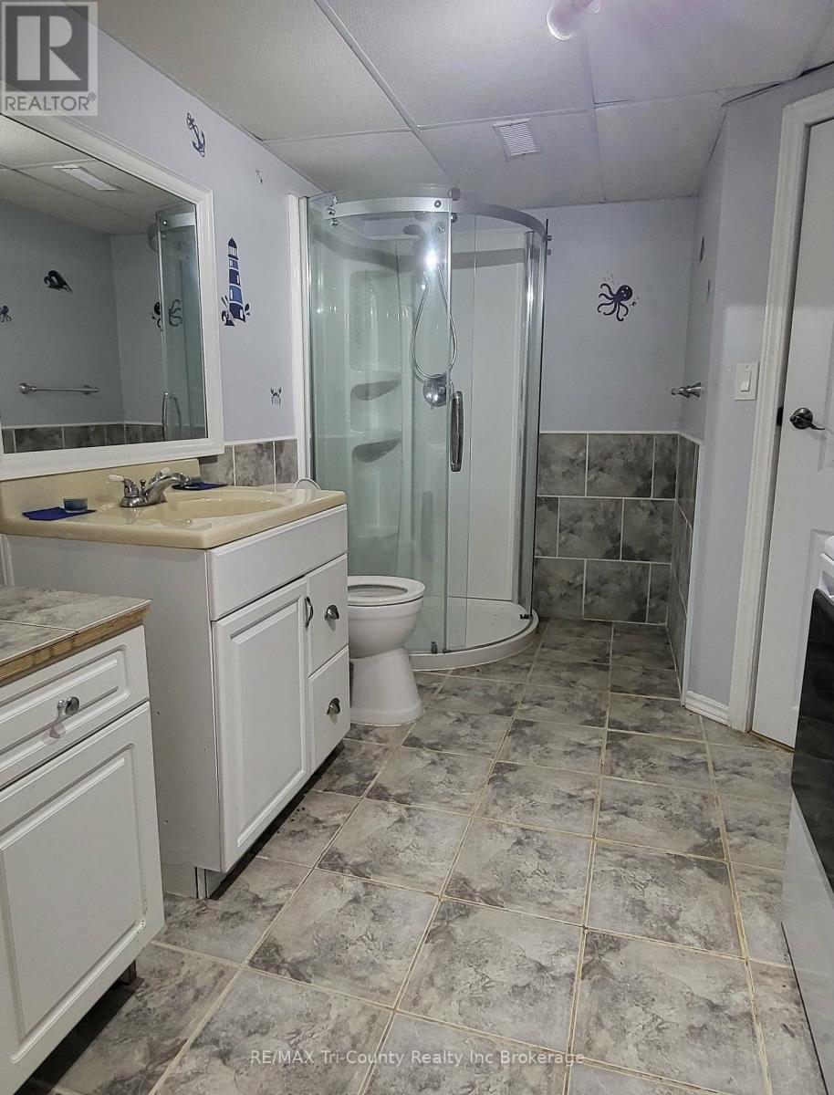 446 Norwich Avenue, Woodstock (Woodstock - South), Ontario  N4S 3W5 - Photo 17 - X13728042