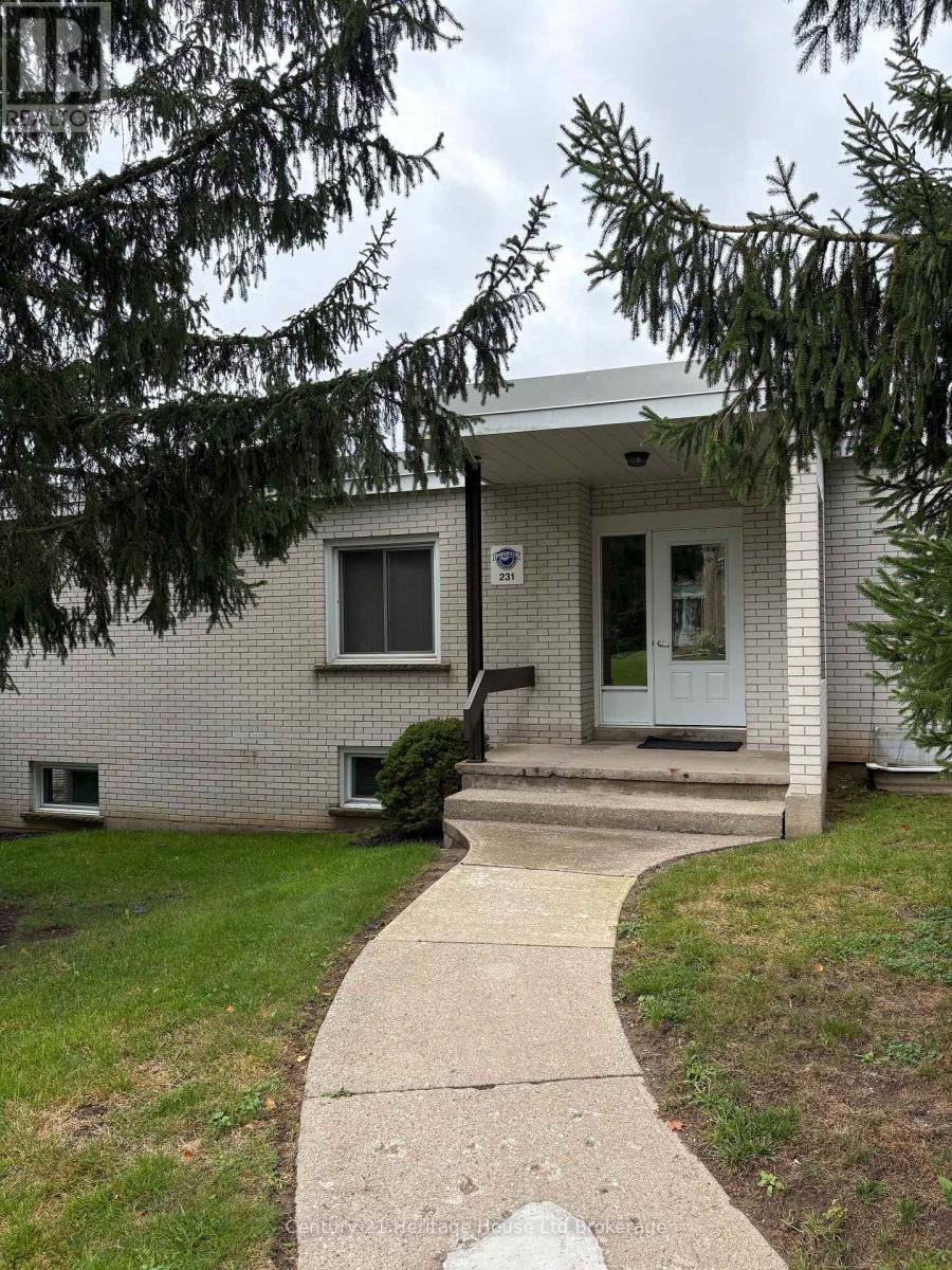 231 Wellington Street N, Woodstock (Woodstock - North), Ontario  N4S 6S1 - Photo 6 - X13742734
