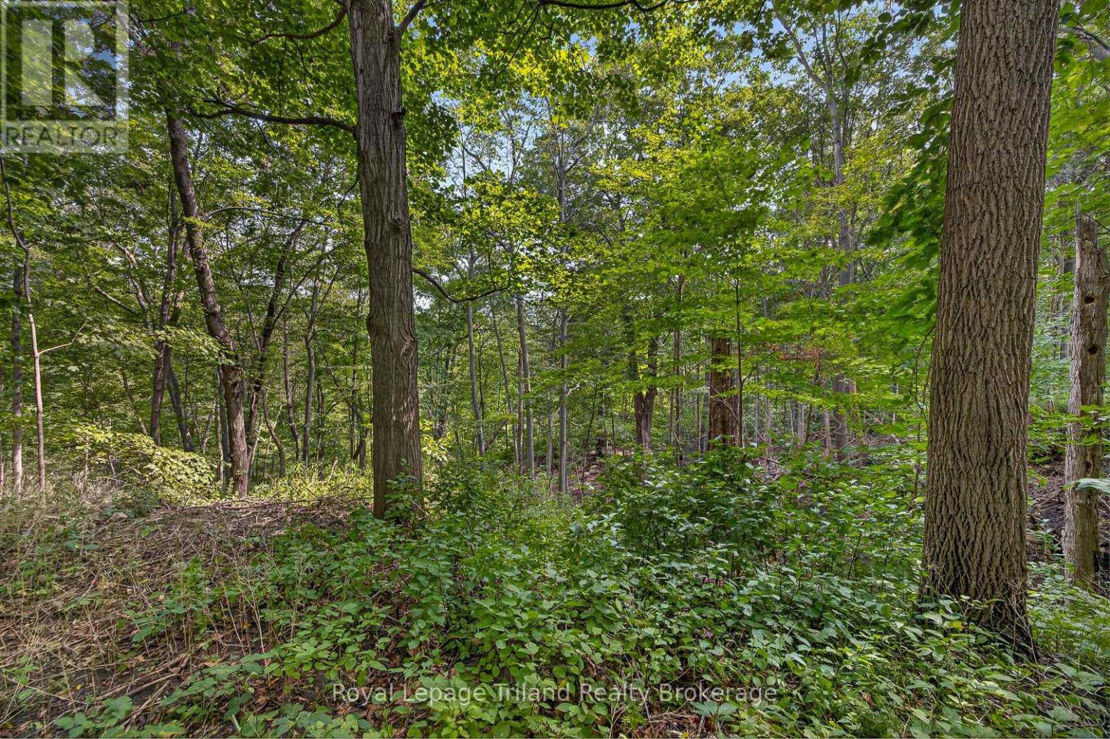 39 Clear Valley Drive, Tillsonburg, Ontario  N4G 4Y7 - Photo 48 - X13746334