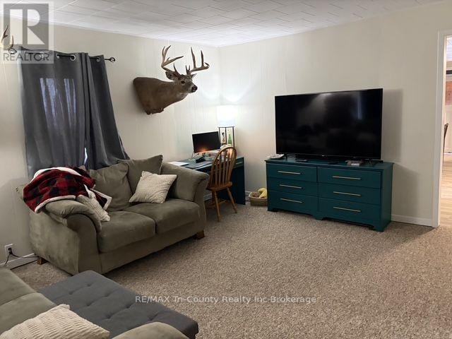 163406 Brownsville Road, South-West Oxford (Brownsville), Ontario  N0L 1C0 - Photo 11 - X13792266