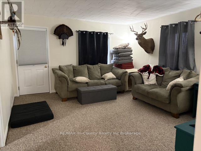 163406 Brownsville Road, South-West Oxford (Brownsville), Ontario  N0L 1C0 - Photo 12 - X13792266