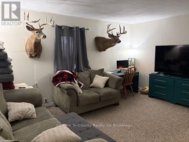 163406 Brownsville Road, South-West Oxford (Brownsville), Ontario  N0L 1C0 - Photo 14 - X13792266