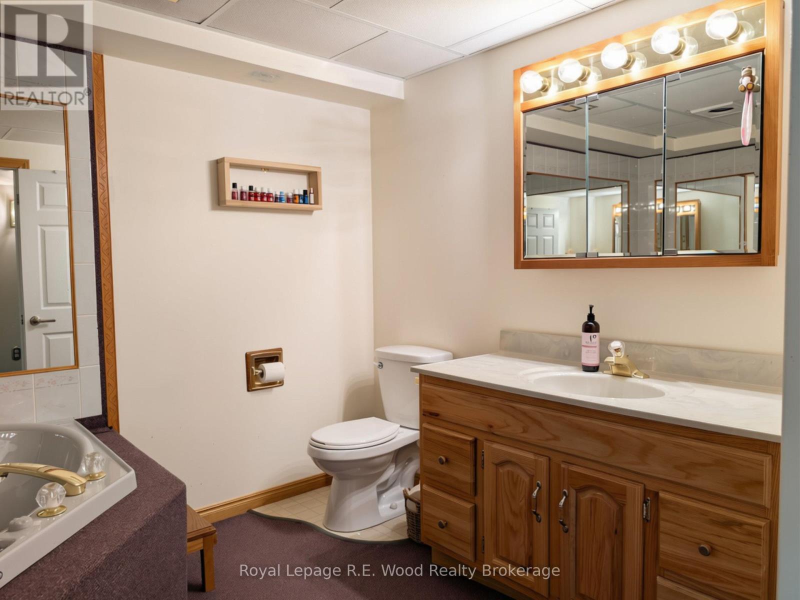 48 Allen Street, Tillsonburg, Ontario  N4G 4X8 - Photo 17 - X13841474