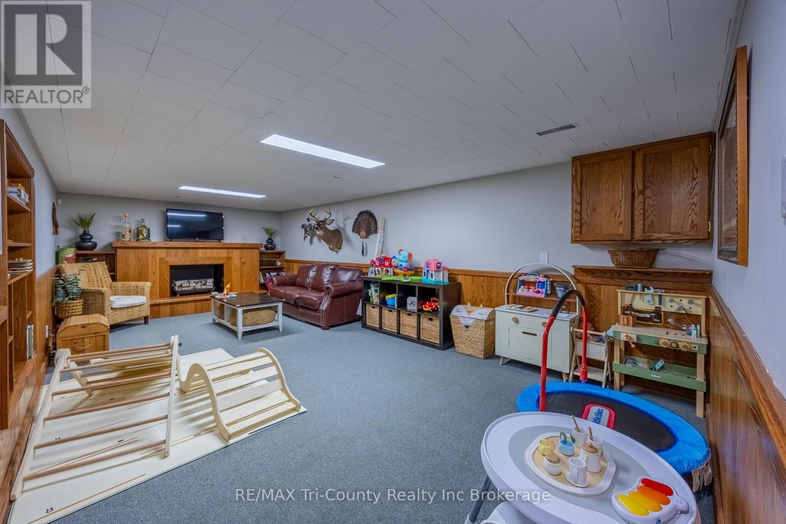 30 Fairfield Crescent, Tillsonburg, Ontario  N4G 2B4 - Photo 21 - X14015014