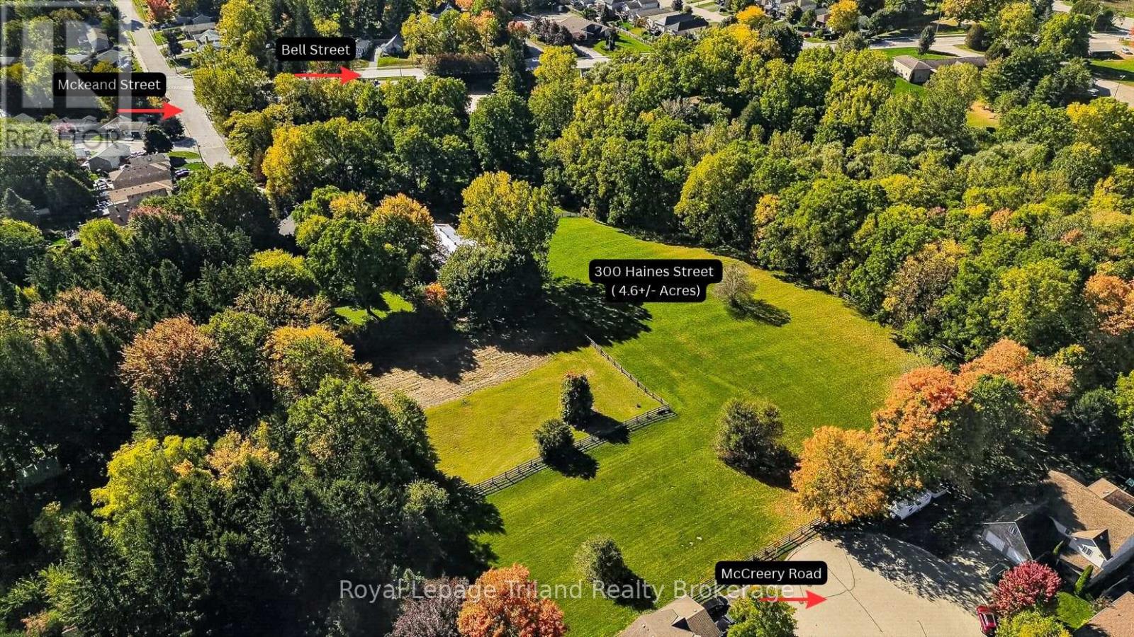 300 Haines Street N, Ingersoll (Ingersoll - North), Ontario  N5C 2S2 - Photo 2 - X14029562